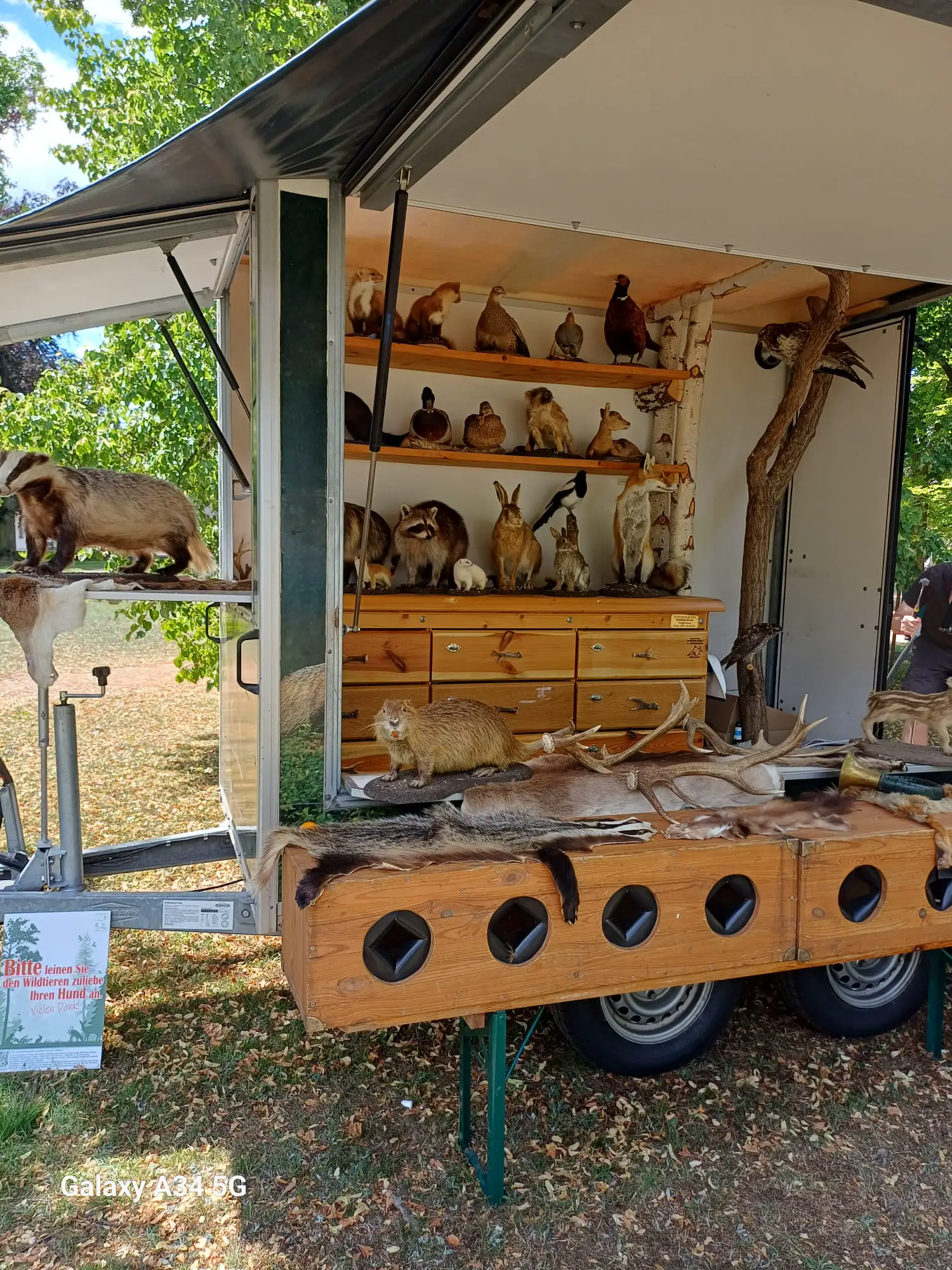 Parkfest · Barocker Gartentag im Gutspark Altjeßnitz, Foto 29