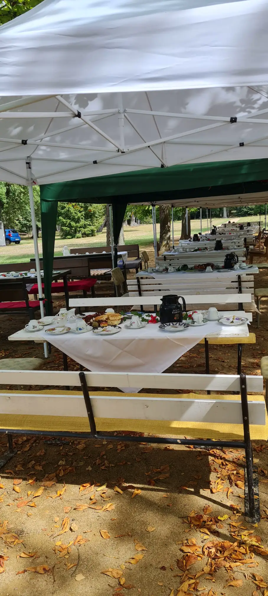 Sommer im Irrgarten im Gutspark Altjeßnitz, Foto 1
