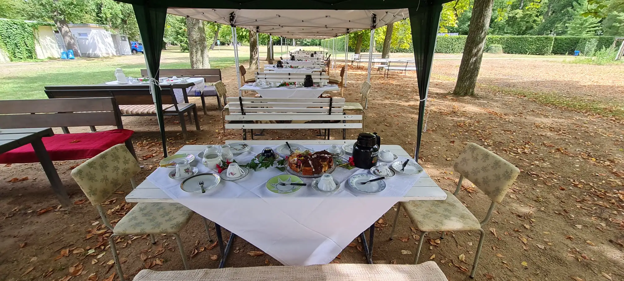 Sommer im Irrgarten im Gutspark Altjeßnitz, Foto 2