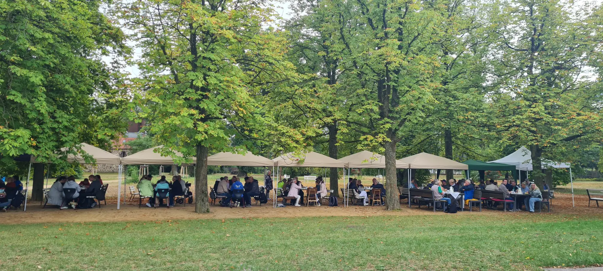 Sommer im Irrgarten im Gutspark Altjeßnitz, Foto 3