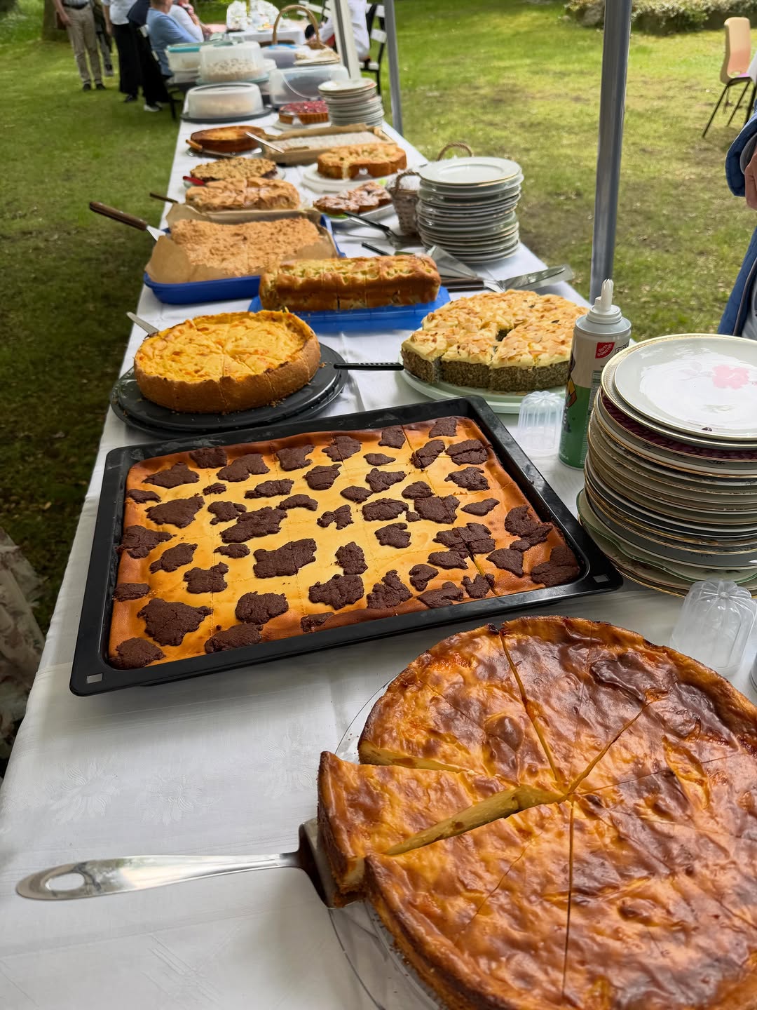 Kuchenbuffet bei einer Veranstaltung im Grünen