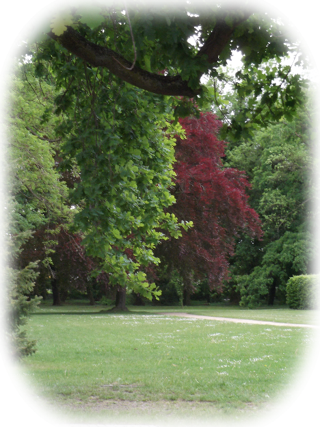 Parklandschaft im Irrgarten-Altjeßnitz